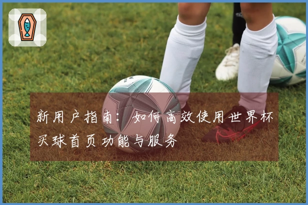 新用户指南：如何高效使用世界杯买球首页功能与服务
