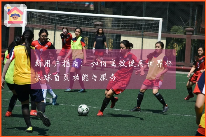 新用户指南：如何高效使用世界杯买球首页功能与服务