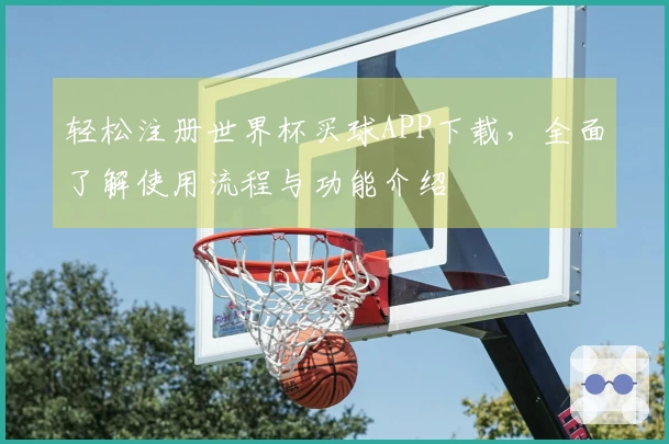 轻松注册世界杯买球APP下载，全面了解使用流程与功能介绍