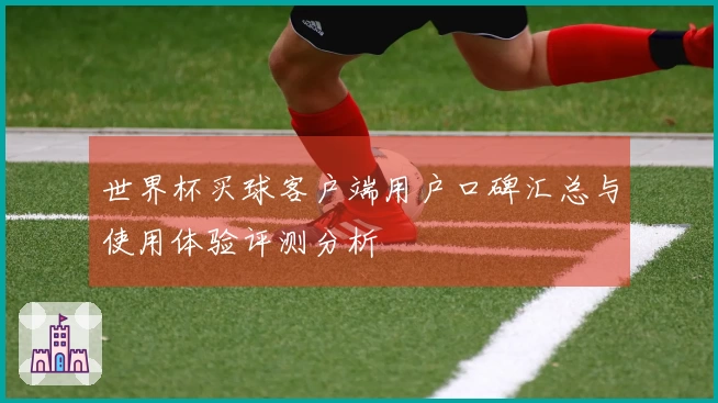 世界杯买球客户端用户口碑汇总与使用体验评测分析