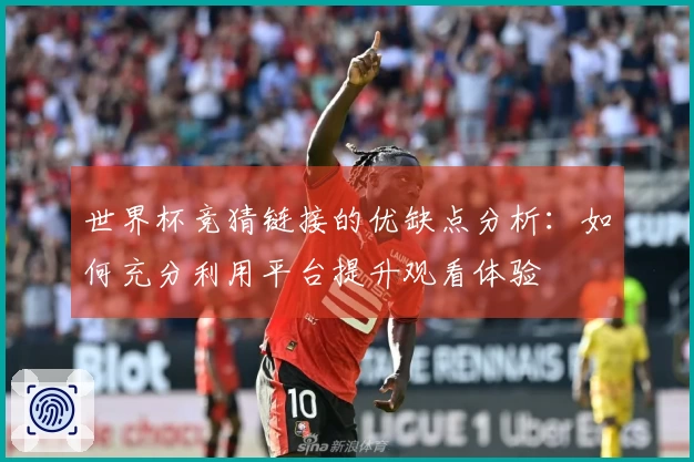 世界杯竞猜链接的优缺点分析：如何充分利用平台提升观看体验