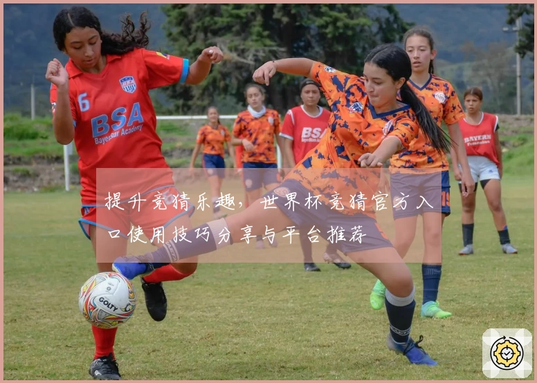 提升竞猜乐趣，世界杯竞猜官方入口使用技巧分享与平台推荐