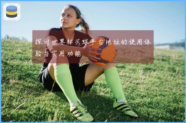 探讨世界杯买球平台地址的使用体验与实用功能