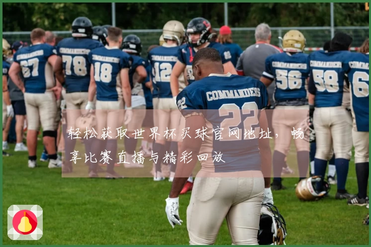 轻松获取世界杯买球官网地址，畅享比赛直播与精彩回放