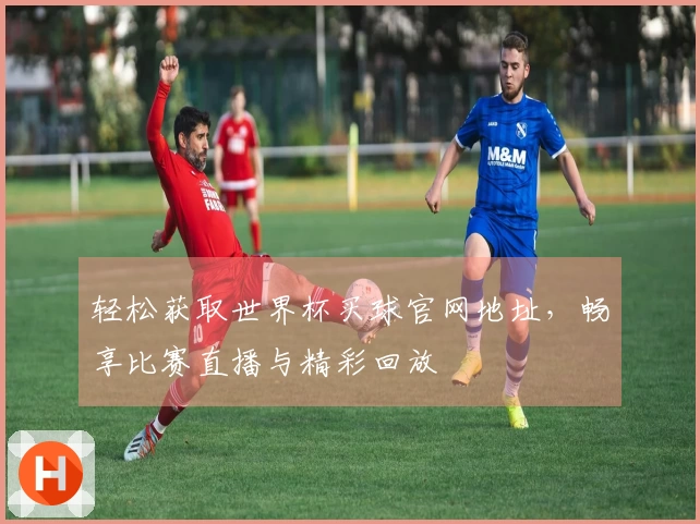 轻松获取世界杯买球官网地址，畅享比赛直播与精彩回放
