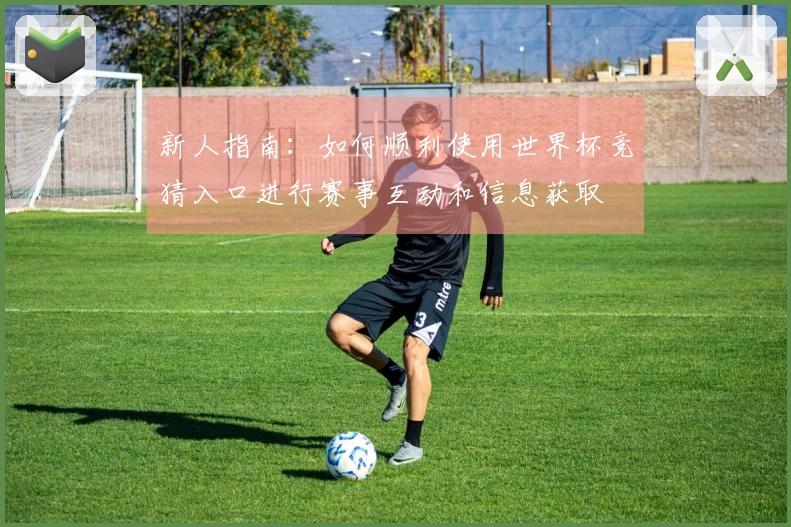 新人指南：如何顺利使用世界杯竞猜入口进行赛事互动和信息获取